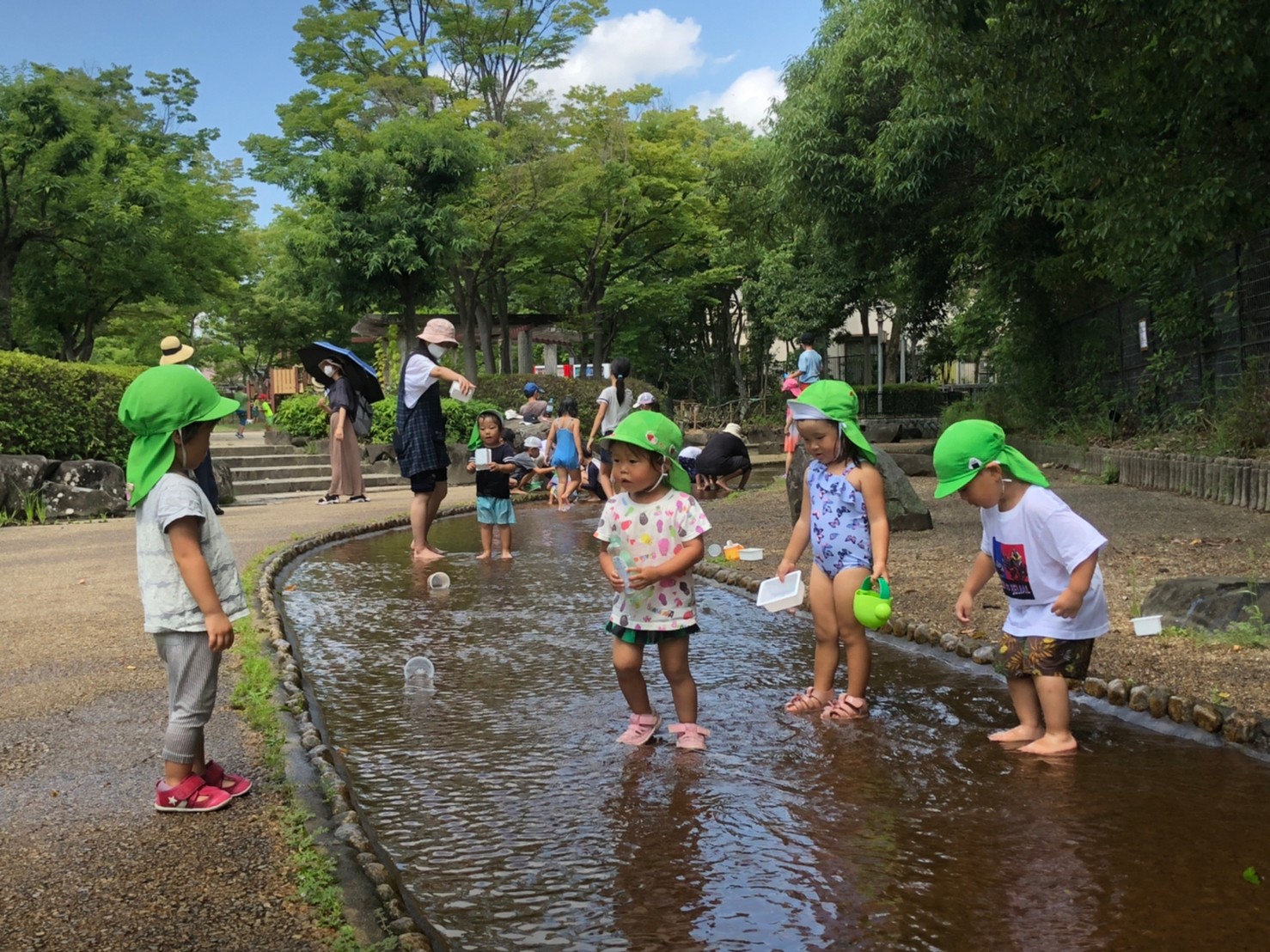 市民の森で水遊びしたよ! みんなの里 ぽこぽこほいくえん